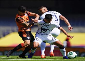 Los Pumas están en Semifinales