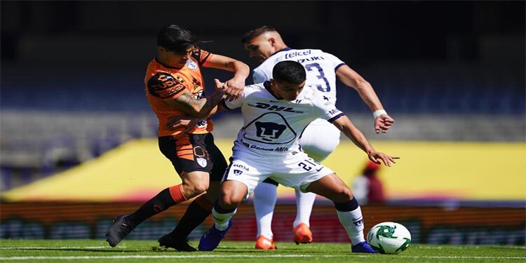 Los Pumas están en Semifinales