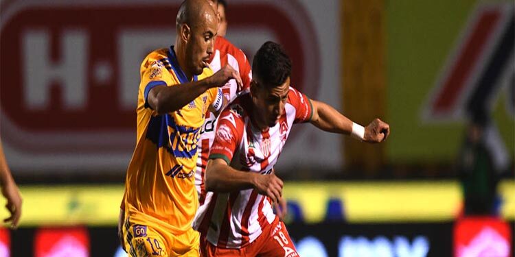 Tigres y Rayos dividen puntos