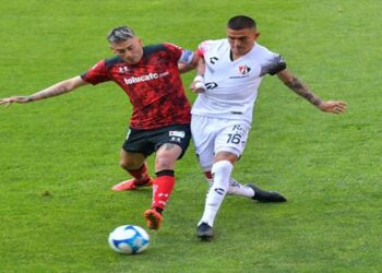 Diablos y Zorros no se hacen daño