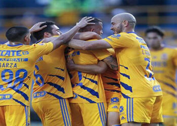 Los Tigres despluman a los Gallos