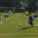 Aguacateros Club Deportivo Uruapan regresa a la Actividad