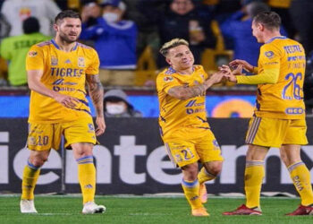 Voltereta Felina en el Volcán