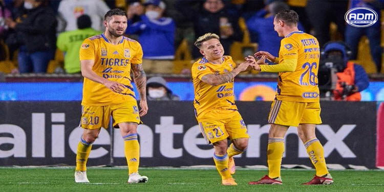 Voltereta Felina en el Volcán