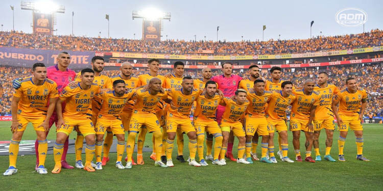 La Comisión Disciplinaria sanciona a los Tigres por alineación indebida en la Semifinal