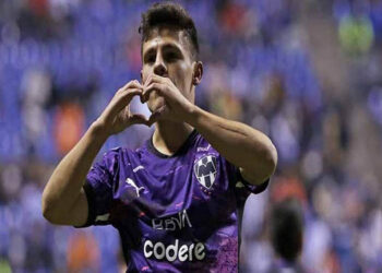 Voltereta Rayada en Puebla