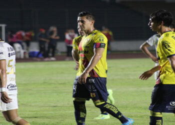 Los Pumas frenan el vuelo de los Canarios