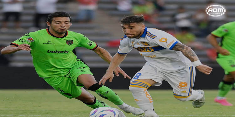 Bravos y Tigres dividen puntos