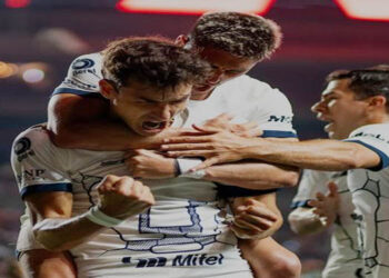Los Pumas rugen en la perrera