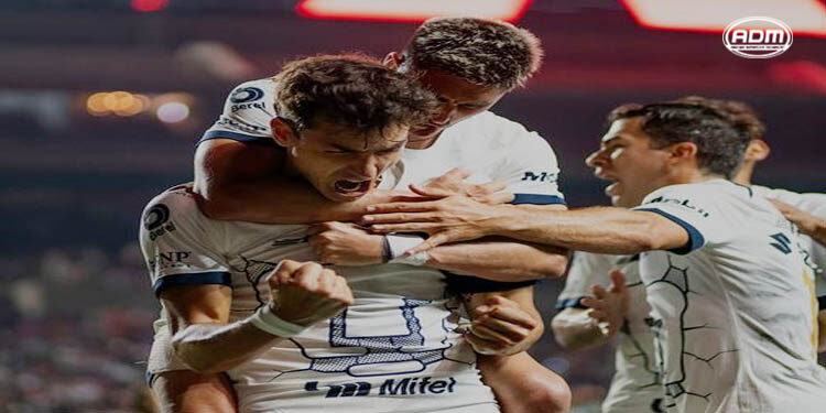 Los Pumas rugen en la perrera