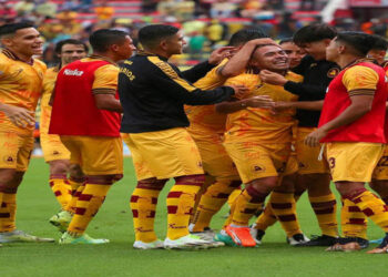 Los Canarios pescan al Gran Pez y retoman el vuelo