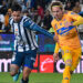 Tuzos y Tigres dividen puntos