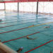 En marcha, curso anual de natación de la Cecufid